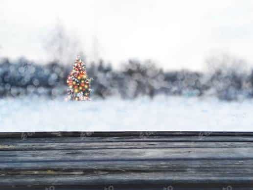 How do I Survive Christmas when Separated or Divorced?